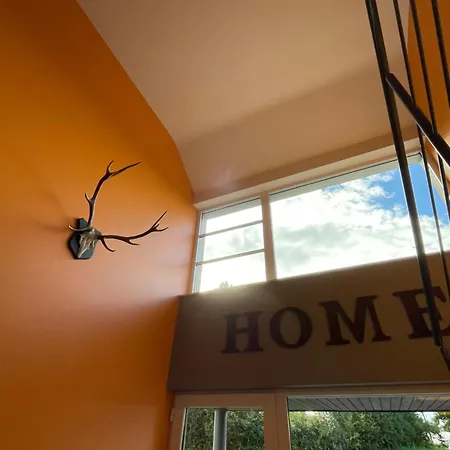 Ferienhaus Le Daguet Pour 4 Florenville