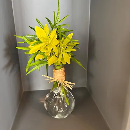 Le Daguet Pour 4 Ferienhaus *